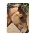 Pony Profile Premium Magnet