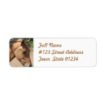 Pony Profile Return Address Label