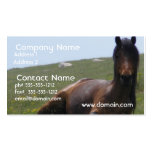 Pony Resting Business Card