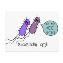 Poo Bacteria Post Cards