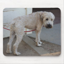 Pooch on Leash mousepads