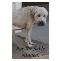 Pooch on Leash Customized Stationery
