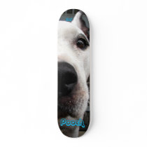 Pooch Skateboards