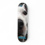Pooch Skateboards