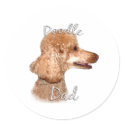 Poodle (apricot) Dad 2 stickers