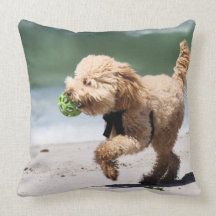Poodle - Apricot - Poodle Play Beach Dogs Pillow