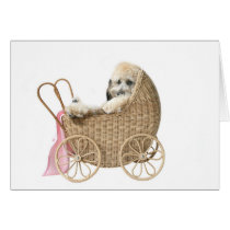 Poodle baby buggy greeting cards