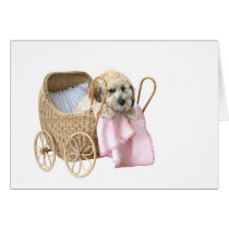 Poodle baby buggy cards