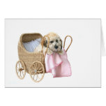 Poodle baby buggy cards