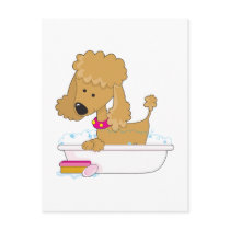 Poodle Bath Postcard