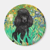 Poodle (black 1) - Irises Magnets