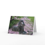 Poodle Black Thank You Card Flowers