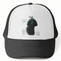 Poodle (blk) History Design hats