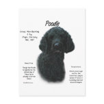 Poodle (blk) History Design Post Card