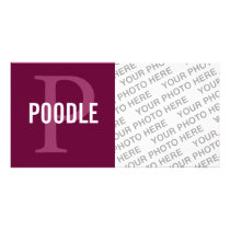 Poodle Breed Monogram Design Customized Photo Card