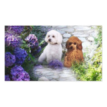Poodle Breeder Business Card