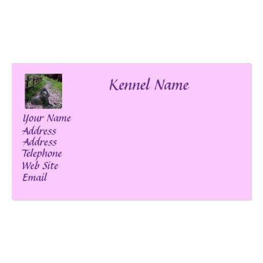 Poodle Breeder Business Card (back side)