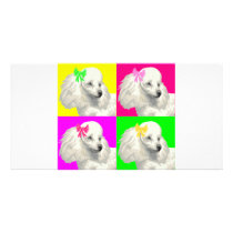 Poodle Bright Collage1 Picture Card