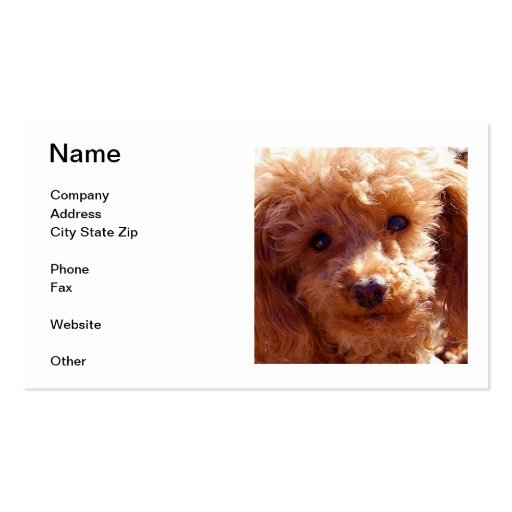 Poodle Business Cards