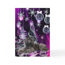 Poodle Christmas Card