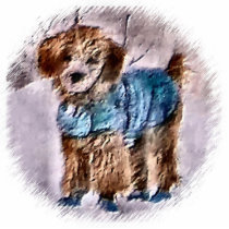 Poodle Christmas Gifts Ornament photo sculptures