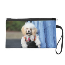 Poodle Day - Hanging Around on a Lazy Day Wristlet Purses