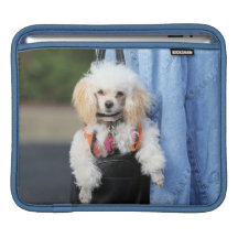 Poodle Day - Hanging Around on a Lazy Day Sleeves For iPads