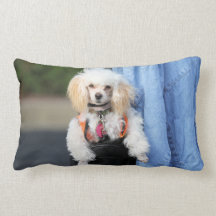 Poodle Day - Hanging Around on a Lazy Day Throw Pillow