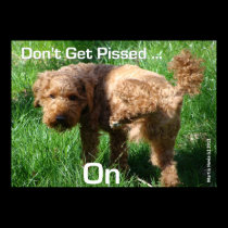 Poodle - Don't Get Pissed - Poster posters