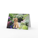 Poodle Garden Greeting Card