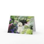 Poodle Garden Greeting Card