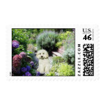 Poodle Garden Postage Stamp