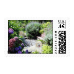 Poodle Garden Postage Stamp