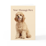 Poodle Greeting Card