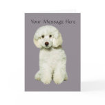 Poodle Greeting Card