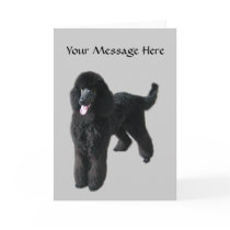 Poodle Greeting Card