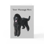 Poodle Greeting Card