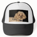 Poodle Hat by jkinpdx Poodle Hat