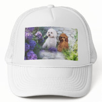 Poodle Hat Hydrangea by normagolden Poodle Hat Hydrangea