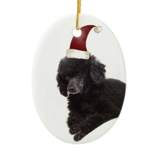 Poodle in a Santa Hat Ornament ornament