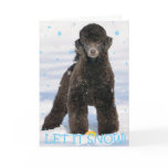 Poodle in the Snow cards