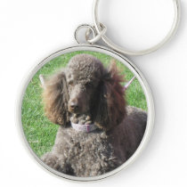 Poodle Keychain keychains