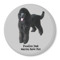 Poodle Magnet