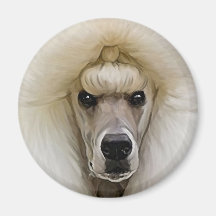 Poodle Magnet