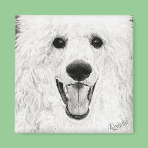 Poodle Magnet - "Jolly Boy" magnets