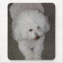 Poodle mousepads