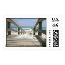 Poodle On Beach Postage postage by normagolden Poodle On Beach Postage postage