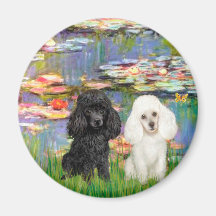 Poodle Pair (BW) - Lilies 2 Magnets