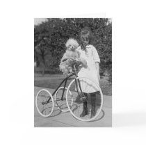 Poodle Perch, 1913 Greeting Cards