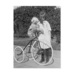 Poodle Perch, 1913 Post Cards